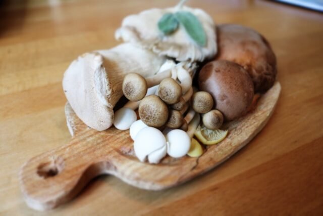 Understanding Mushrooms and Mycology